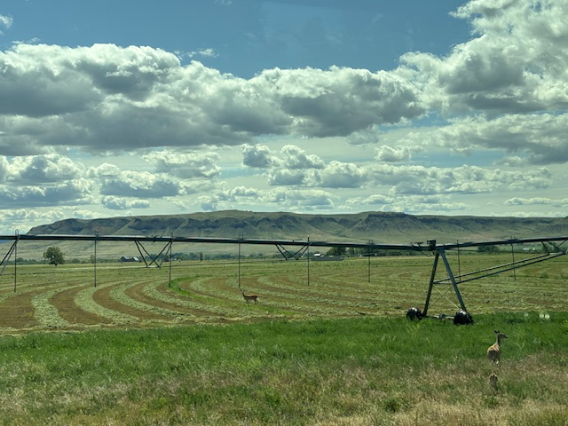 montana irrigation sprayer